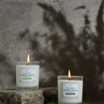 Moss&Grass Scented Candle - 170 g