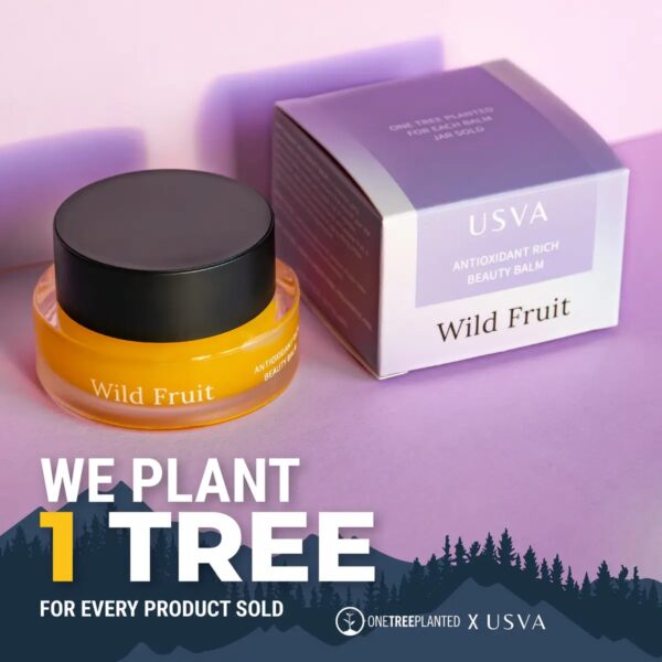 Wild Fruit Antioxidant Rich Beauty Balm, 30ml - Image 3